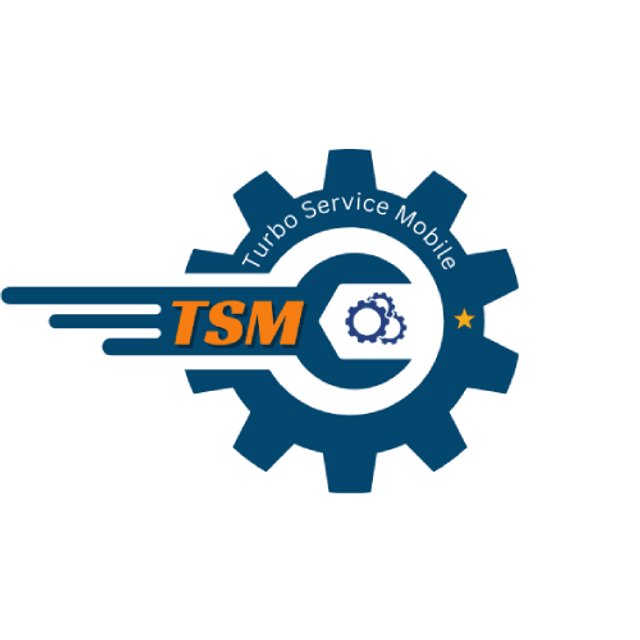 TSM-Pro 1 Year Activation (Instant)✅ 